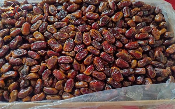 خرید خرما خاصویی ریز + قیمت فروش استثنایی